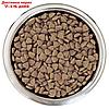 Сухой корм PRO PLAN для собак мелких пород с чувствительным пищеварением, ягненок, 700 г, фото 4