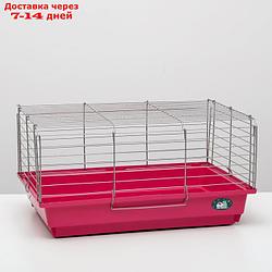 Клетка для кроликов, морских свинок "Пижон" №6, хром, 58 х 40 х 30 см, рубиновая