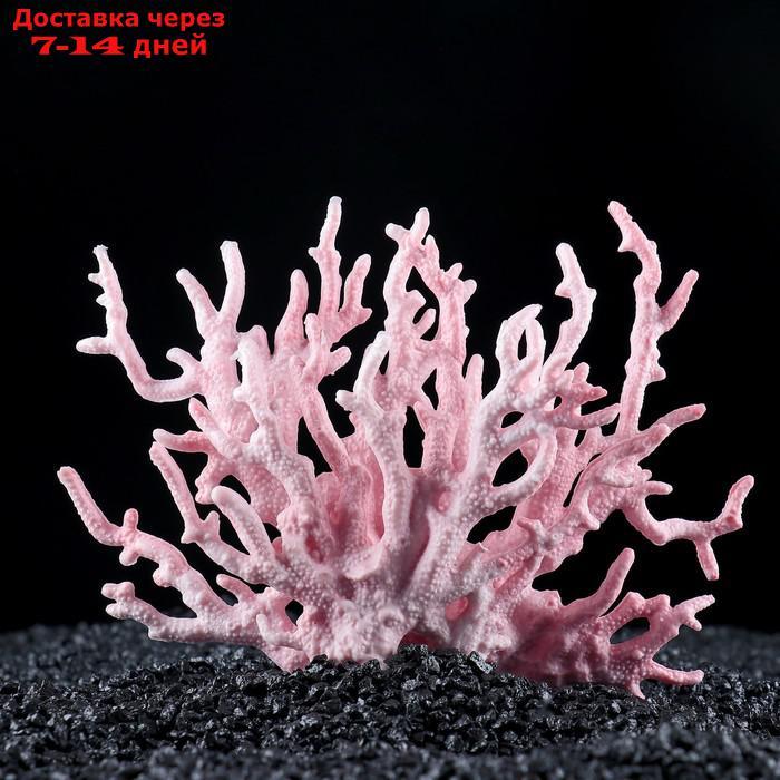 Коралл пластиковый малый 17 х 6 х 13 см, розовый - фото 1 - id-p193697838