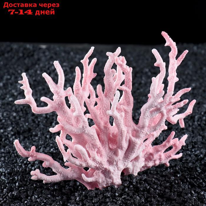 Коралл пластиковый малый 17 х 6 х 13 см, розовый - фото 2 - id-p193697838