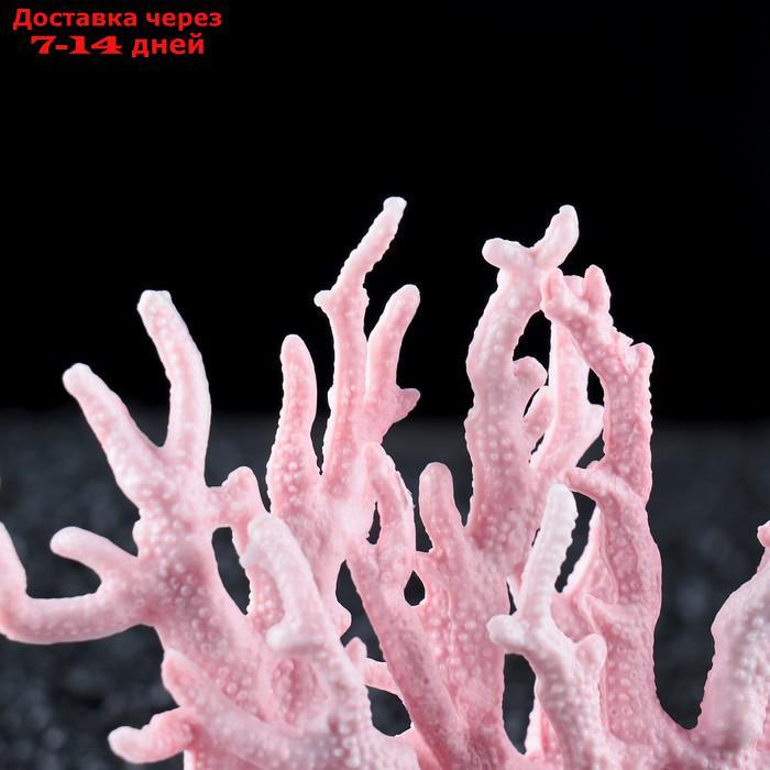 Коралл пластиковый малый 17 х 6 х 13 см, розовый - фото 3 - id-p193697838