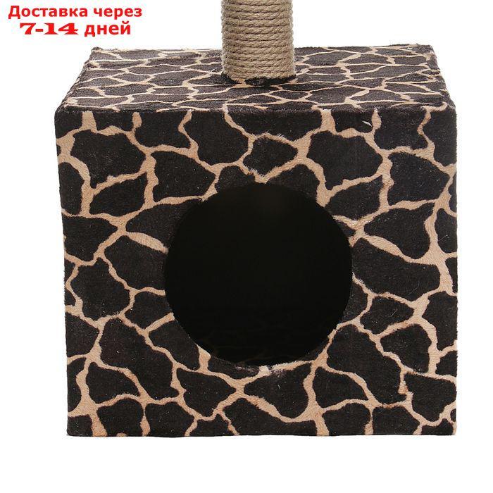 Домик-когтеточка "Куб" с площадкой и игрушкой, 35 х 30 х 85 см, микс - фото 3 - id-p193697847