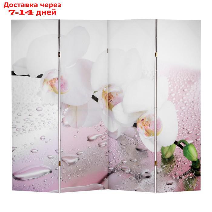 Ширма "Орхидея и капли воды", двухсторонняя, 200 × 160 см - фото 1 - id-p193699919