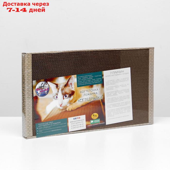 Домашняя когтеточка-лежанка для кошек, 56 × 30 (когтедралка)
