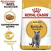 Сухой корм RC British Shorthair для британских кошек, 400 г, фото 3