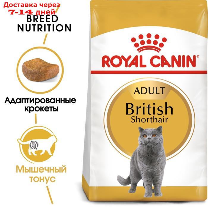 Сухой корм RC British Shorthair для британских кошек, 400 г - фото 3 - id-p193697942