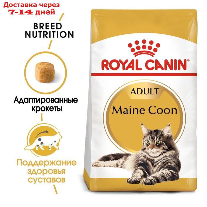 Сухой корм RC Maine Coon для крупных кошек, 10 кг - фото 2 - id-p193697958