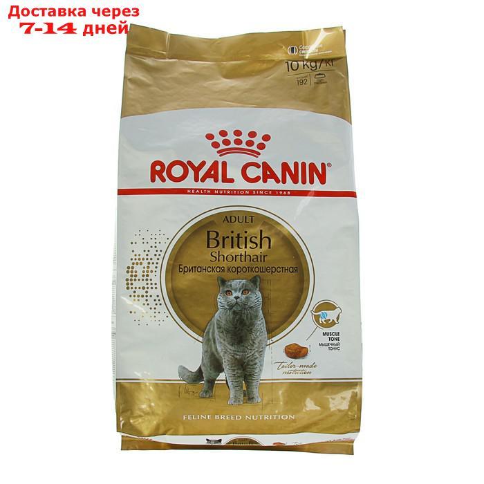 Сухой корм RC British Shorthair для британских кошек, 10 кг - фото 1 - id-p193697960