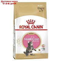 Сухой корм RC Kitten Maine Coon для котят крупных пород, 10 кг