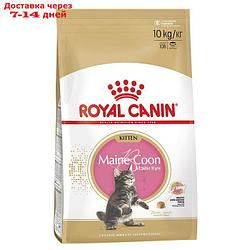 Сухой корм RC Kitten Maine Coon для котят крупных пород, 10 кг
