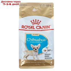 Сухой корм RC Chihuahua Junior для щенков чихуахуа, 500 г
