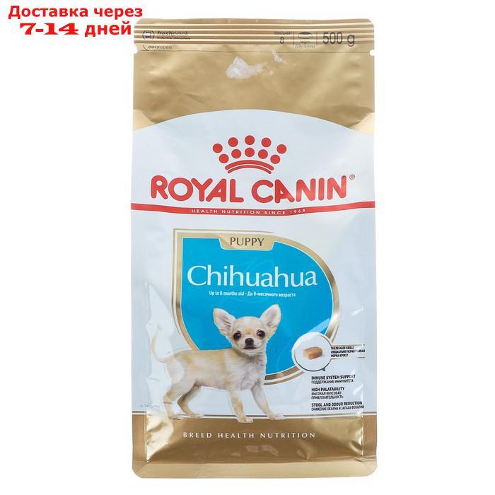 Сухой корм RC Chihuahua Junior для щенков чихуахуа, 500 г - фото 1 - id-p193697977