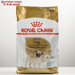 Сухой корм RC Pug Adult для мопса, 7.5 кг