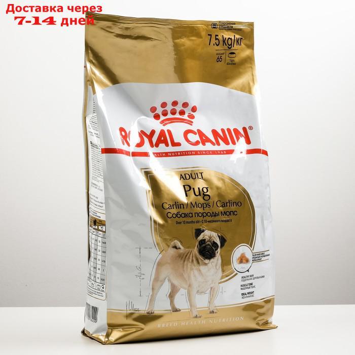 Сухой корм RC Pug Adult для мопса, 7.5 кг - фото 2 - id-p193705362