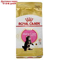 Сухой корм RC Kitten Maine Coon для котят крупных пород, 2 кг