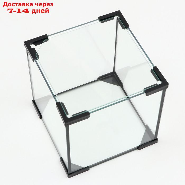 Аквариум куб, 16 литров, 25 х 25 х 25 см - фото 3 - id-p193698123