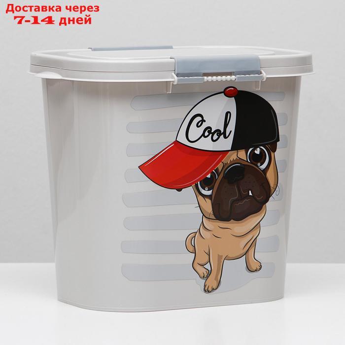 Контейнер Dogs для корма, овальный, 10 л, микс цветов - фото 9 - id-p193698227