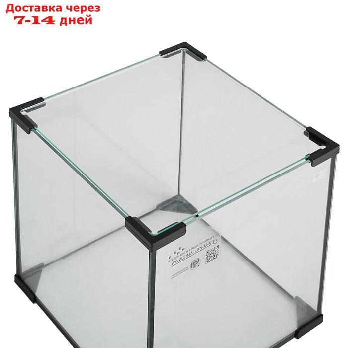 Аквариум куб, 43 литра, 35 х 35 х 35 см - фото 2 - id-p193698242