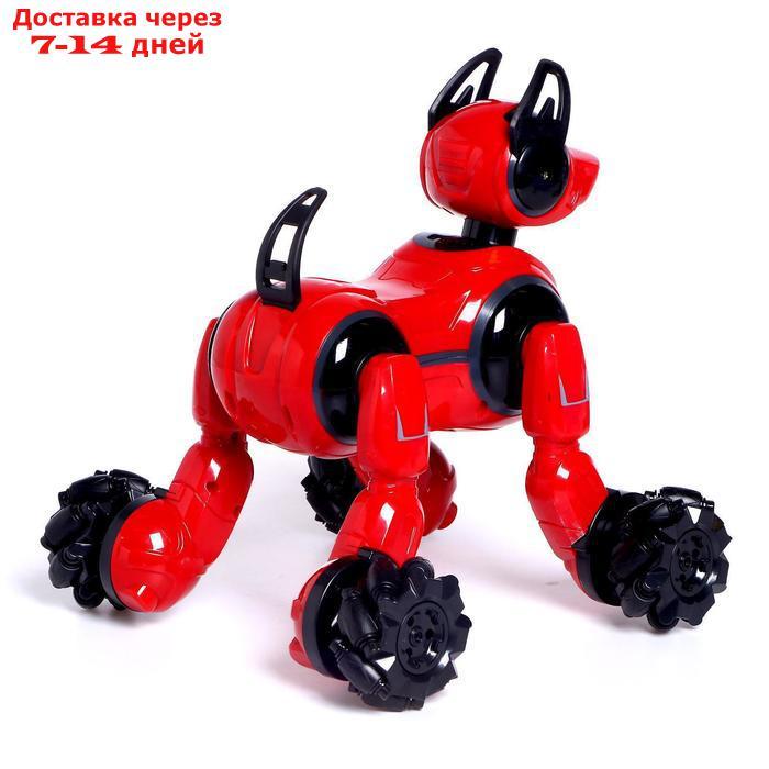 Робот - собака "Кибер пёс", управление жестами, световые и звуковые эффекты, цвета МИКС - фото 5 - id-p193699243
