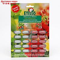 Комплексные удобрения ETISSO Pflanzen&Bluten Vital-Dungesticks для комнатных растений, 2*10