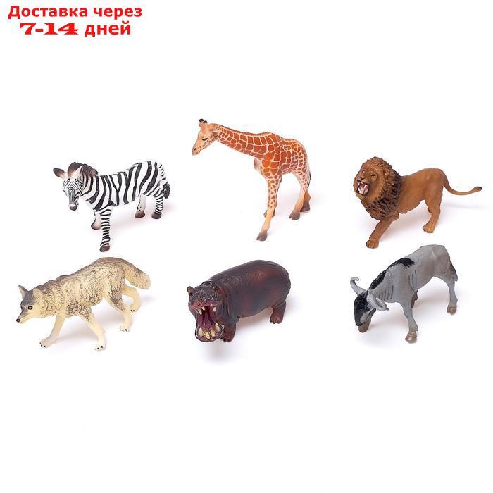 Набор животных "Звери Африки", 6 фигурок - фото 1 - id-p193704684