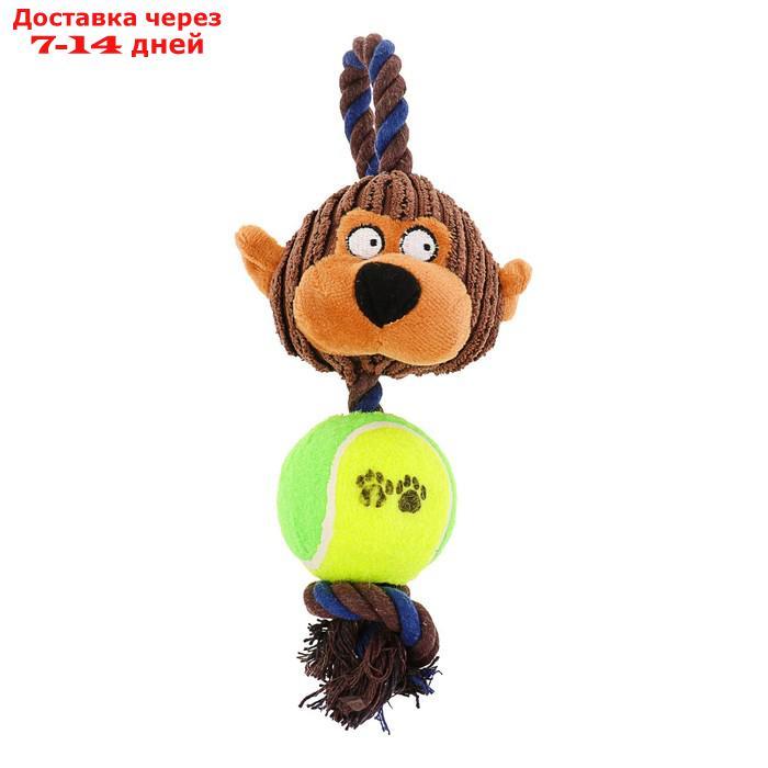Игрушка для собак 3-в-1 "Обезьяна": канатная, мягкая с пищалкой, войлочный мяч, 30 см - фото 3 - id-p193698425