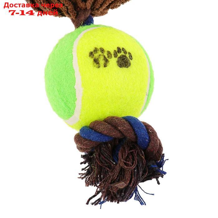 Игрушка для собак 3-в-1 "Обезьяна": канатная, мягкая с пищалкой, войлочный мяч, 30 см - фото 4 - id-p193698425