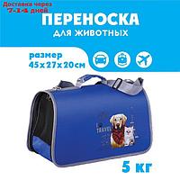 Сумка-переноска раскладная Travel 45x27x20 см