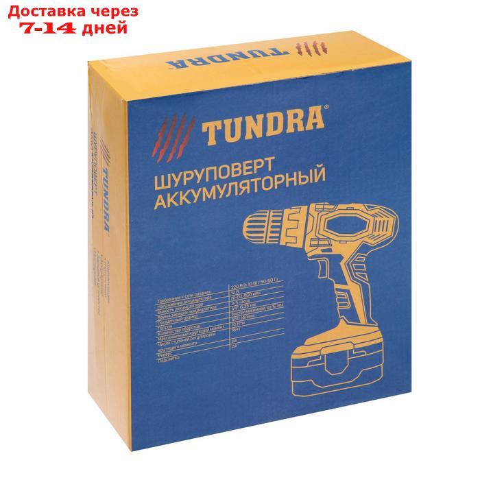 Шуруповерт TUNDRA, патрон БЗ до 10 мм, подсветка, Ni-Cd 800 mAh 12V, 550 об/мин, 10 Н*м - фото 8 - id-p193701548