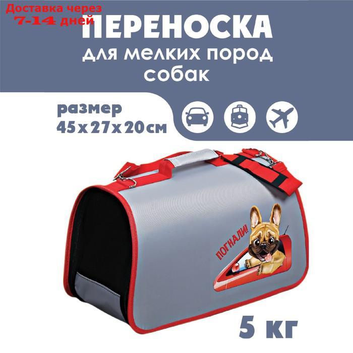 Сумка-переноска раскладная "Погнали!" 45x27x20 см - фото 1 - id-p193698472