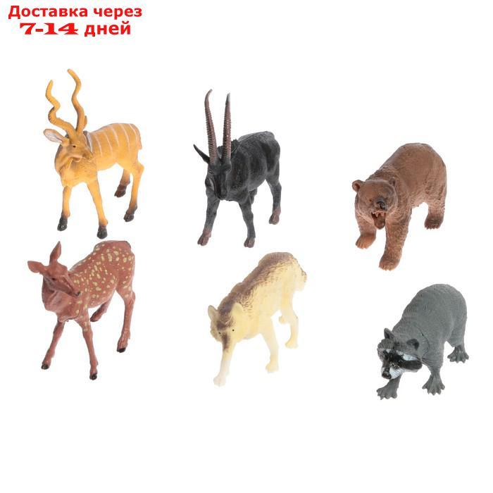 Набор животных "Лесные звери", 6 фигурок - фото 1 - id-p193704834
