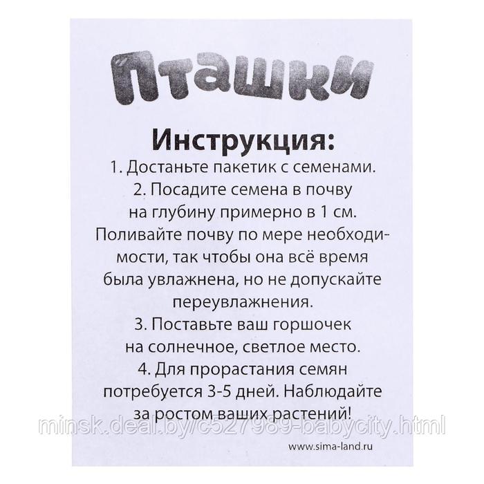 Набор для опытов «Пташки, выращиваем травку», жёлтый горшочек - фото 4 - id-p193898266