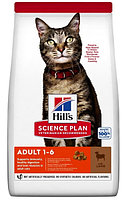 Сухой корм для кошек Hill's Science Plan Adult 1-6 (ягненок) 10 кг