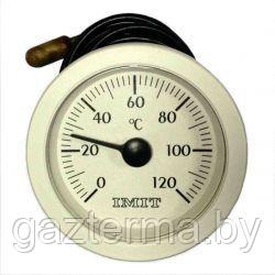 Термометр капиллярный (010282)