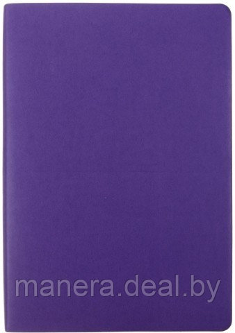 Ежедневник недатированный Berlingo Fuze (А6) фиолетовый