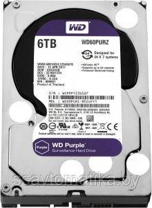 Western Digital HDD 6000 GB (6 TB) SATA-III Purple (WD60PURZ) - фото 1 - id-p193930268
