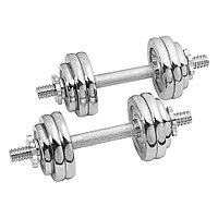 Набор гантелей ALPIN DB-20КГ