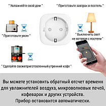 Умная розетка Smart Plug, фото 2