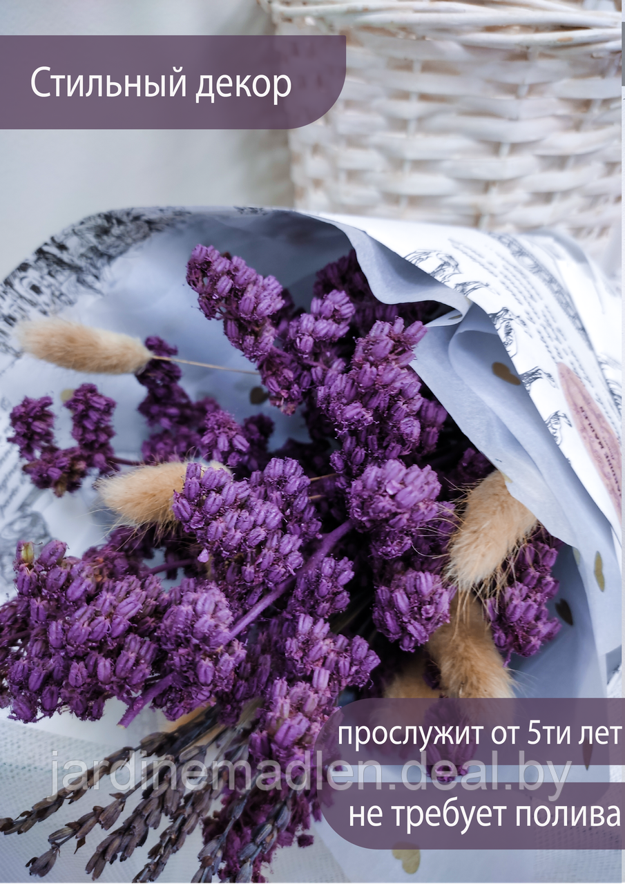 Букет сухоцветов «Violet», спирея, лаванда, лагурус, лагурус - фото 2 - id-p193806947
