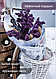 Букет сухоцветов «Violet», спирея, лаванда, лагурус, лагурус, фото 3