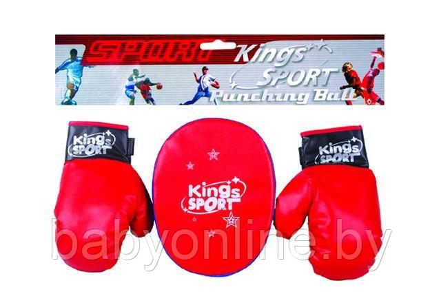 Игровой набор Боксерские перчатки и лапа арт BB11