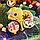 Набор орехов и сухофруктов с крем-мёдом №8 на 650-680г (НОВОГОДНИЙ), фото 4