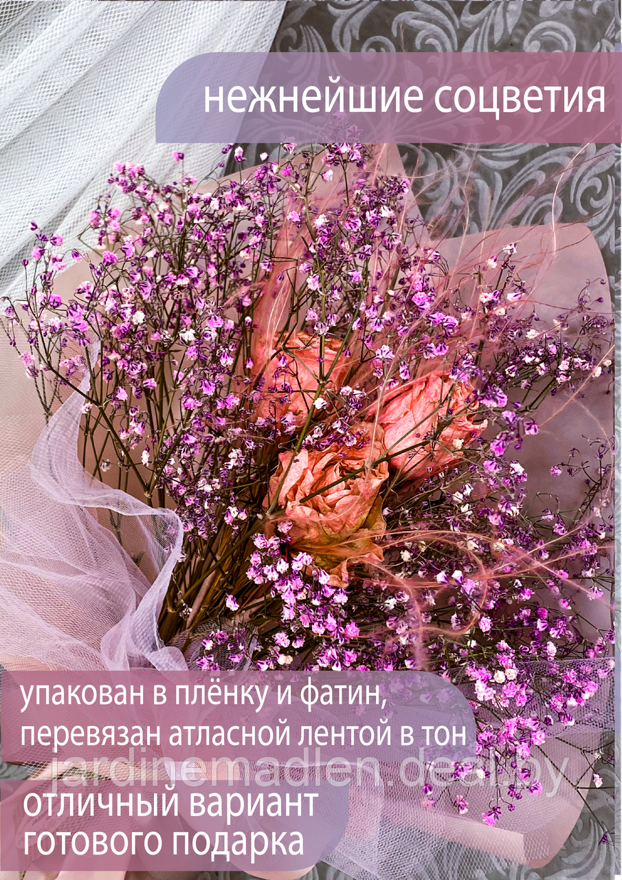 Букет сухоцветов «Нежность» пудровый. Роза, стипа, гипсофила - фото 3 - id-p193806716