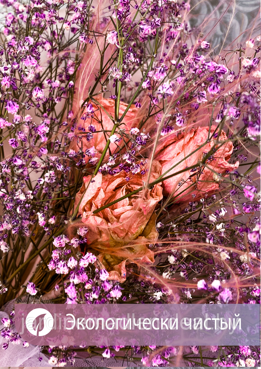 Букет сухоцветов «Нежность» пудровый. Роза, стипа, гипсофила - фото 4 - id-p193806716