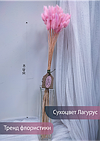 Лагурус сухоцвет, пучок 50 соцветий розовый