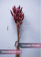 Лагурус сухоцвет, пучок 50 соцветий пыльно-розовый