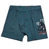 Трусы для мальчика модель 1577, фото 2