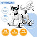 Робот собака Koddy IQ BOT, на пульте управления, интерактивный: звук, свет, танцующий, музыкальный, на, фото 3