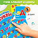 Обучающий плакат «Весёлые буквы», работает от батареек, фото 4