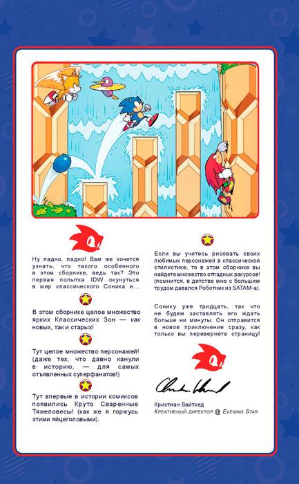 Sonic. 30-летний юбилей. Комикс (перевод от Diamond Dust) - фото 6 - id-p194036171
